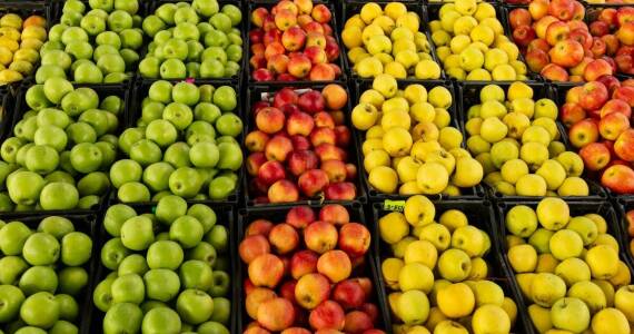 Dlaczego warto inwestować w różnorodność odmian owoców?