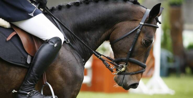 Czym kierować się przy wyborze jeździeckiej odzieży konkursowej?