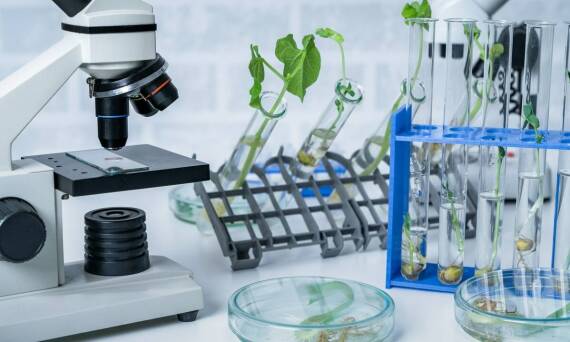 Rola laboratoriów i pracowni w procesie kształcenia na studiach stacjonarnych