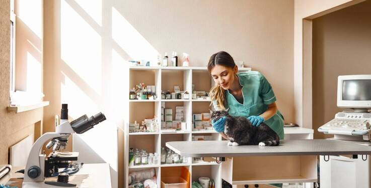 Diagnostyka laboratoryjna jako fundament skutecznego leczenia weterynaryjnego