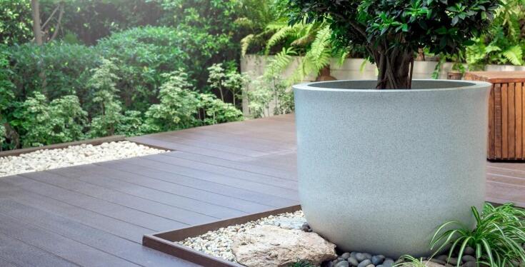 Sosna czarna jako część ekologicznych projektów ogrodowych