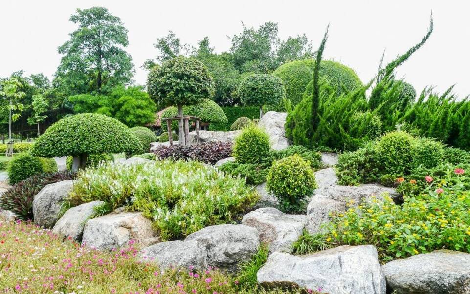 Przewodnik po najpiękniejszych krzewach ozdobnych do ogrodu na każdą porę roku