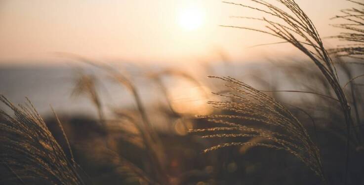 Jakie są zalety wyboru taniego pensjonatu blisko atrakcji turystycznych w Ustroniu Morskim?