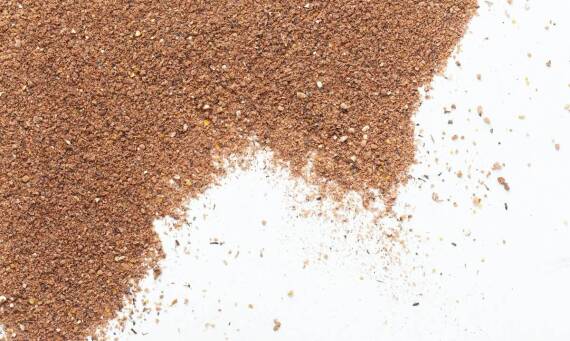 Nasiona traw - wybór najlepszych opcji do ogrodu przydomowego