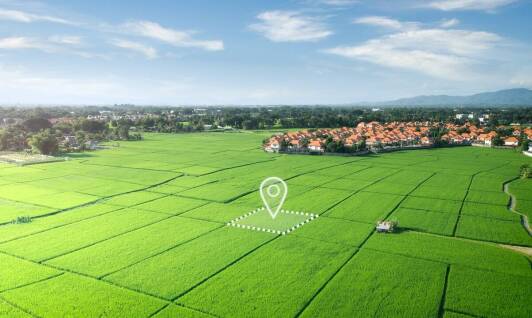 Jak zwiększyć efektywność systemów nawadniających w warunkach suszy?