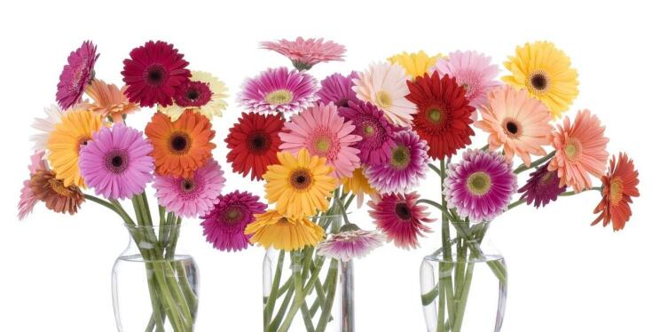 Jakie dodatki kwiatowe wybrać do kompozycji florystycznych?