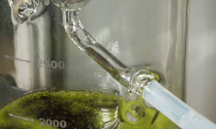 Jakie rodzaje próbek można analizować przy użyciu analizatorów siarki?