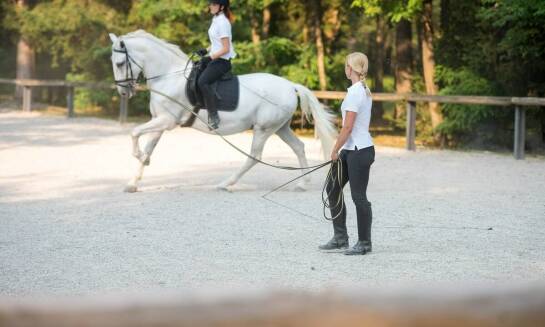 Akademia jeździectwa: Kluczowe elementy pracy z końmi opierające się na dialogu