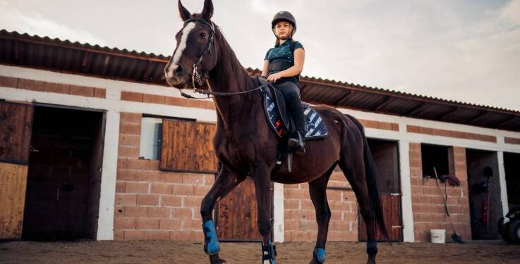 Nauka lonżowania konia: Praktyczne porady dla zaawansowanych trenerów