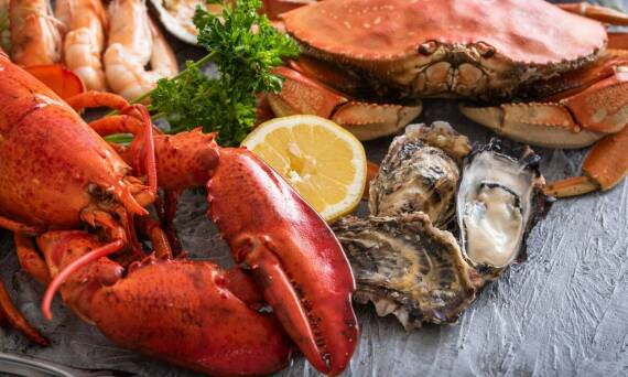 Sekrety przygotowania klasycznych dań z owoców morza w stylu śródziemnomorskim