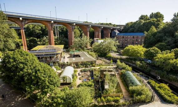 Jakie są kluczowe elementy projektu remontu placu, które przyciągają mieszkańców?