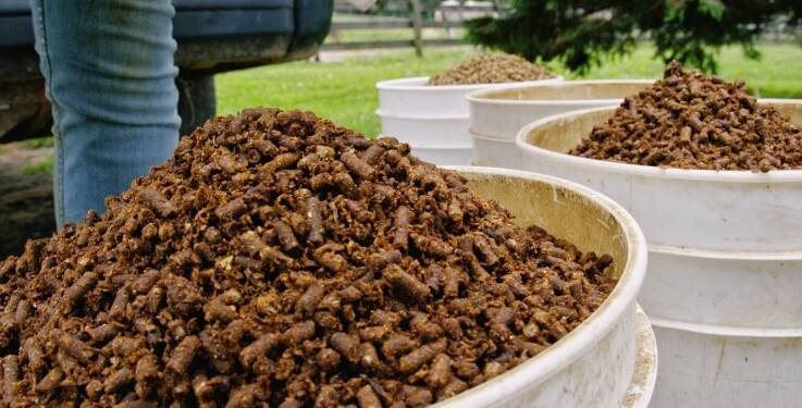 Dodatki energetyczne dla bydła jako element nowoczesnego systemu żywienia