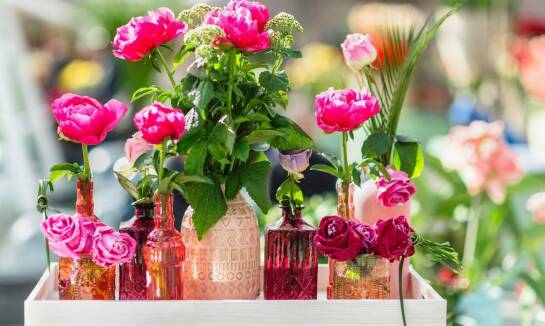 Rola geraniolu w personalizowanych perfumach