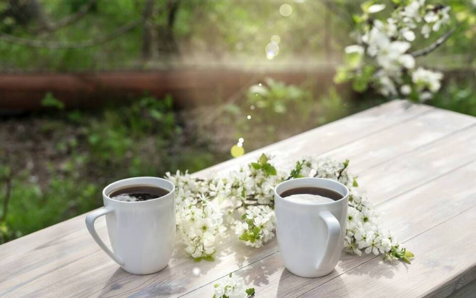 Jakie cechy powinny mieć idealne filiżanki do codziennego użytku?