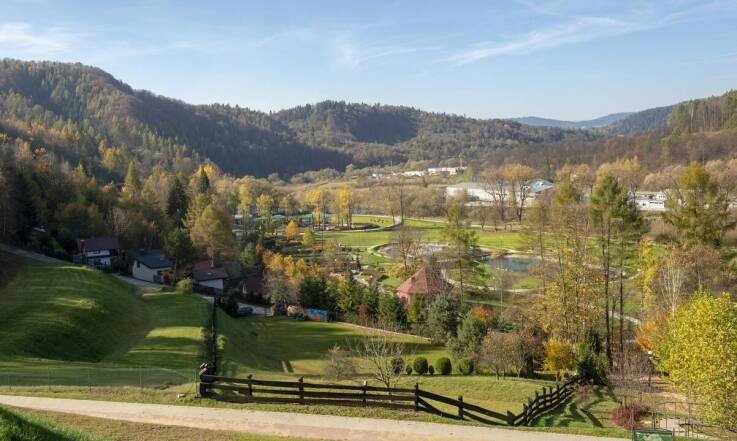 Jak stadnina koni przyczynia się do ochrony rzadkich ras koni?
