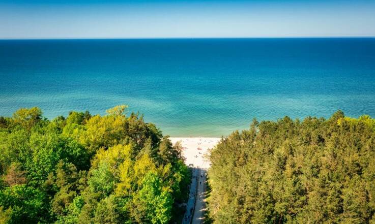 Restauracje hotelowe na Wyspie Sobieszewskiej – co warto spróbować?