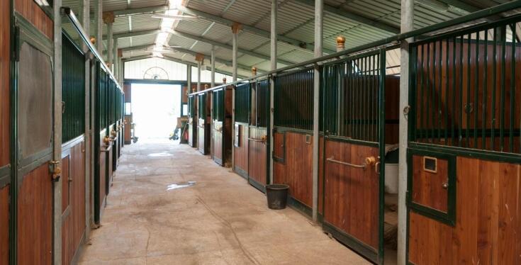 Rozwiązania do zrównoważonego gospodarowania wodą w stajniach