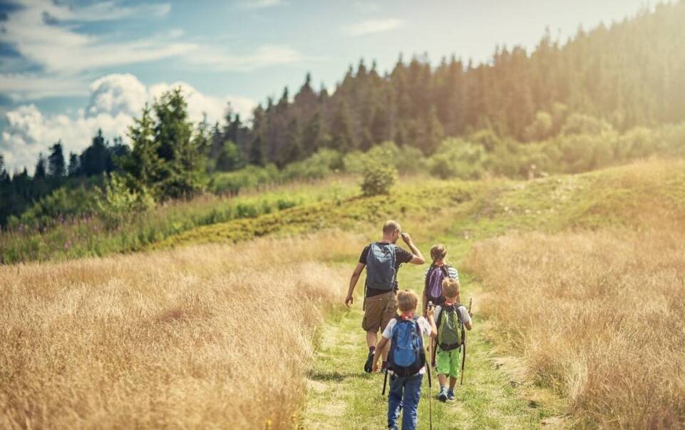 Wczasy odchudzające w górach dla rodzin: jak wspólne cele integrują uczestników