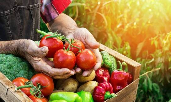 Jakie są zalety wyboru warzyw od zaufanego rolnika?