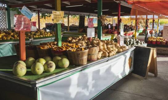 Jak skup owoców i warzyw wpływa na lokalny rynek?