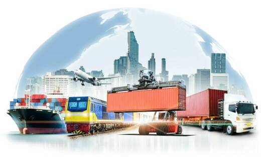 Wyzwania logistyczne w procesie skupu owoców