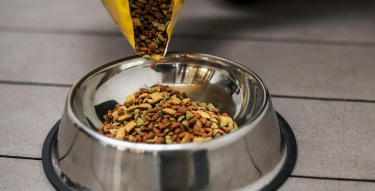 Rola białka w diecie psa opartej na suchej karmie