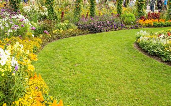 Wpływ trawy z rolki na bioróżnorodność w ogrodzie