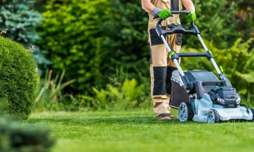 Rola środków chwastobójczych w utrzymaniu zdrowego i estetycznego trawnika