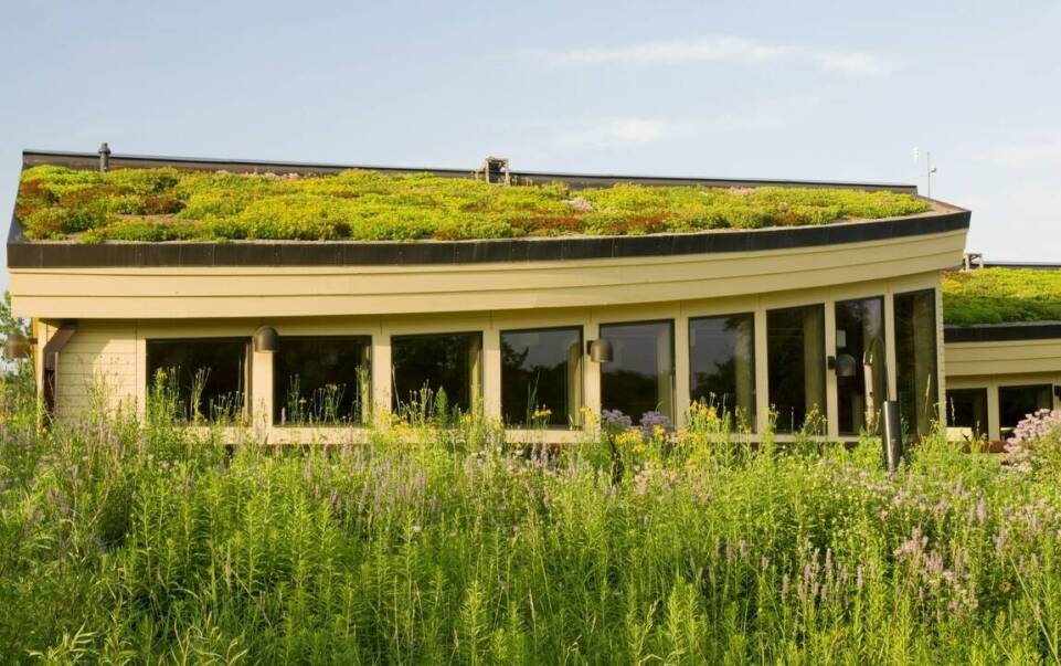 Ekologiczne pokrycia dachowe a nowoczesne technologie