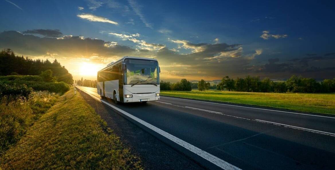 Jakie są różnice między różnymi przewoźnikami autobusowymi na trasie Fiumicino-Rzym?