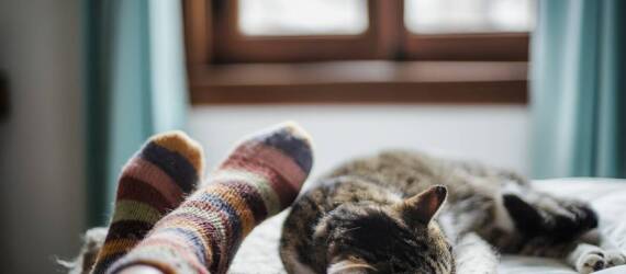 W jaki sposób konsultacje z behawiorystą mogą poprawić jakość życia kota w hotelu?