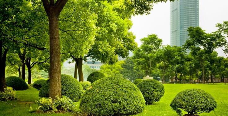 Zielone podejście do transportu: Jak nasze taksówki minimalizują wpływ na środowisko?