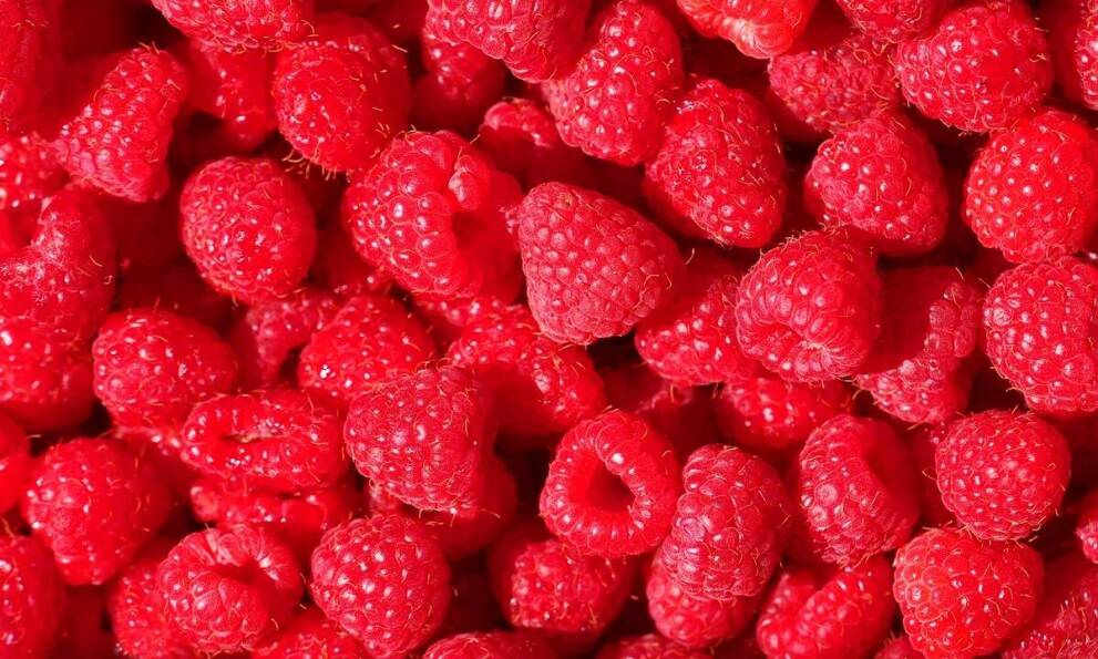 Suszone wytłoki z malin - jak wpływają na wartość odżywczą produktów?