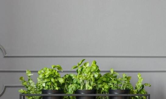 Mini zestawy ogrodowe z metalowymi profilami – trwałość i nowoczesny styl