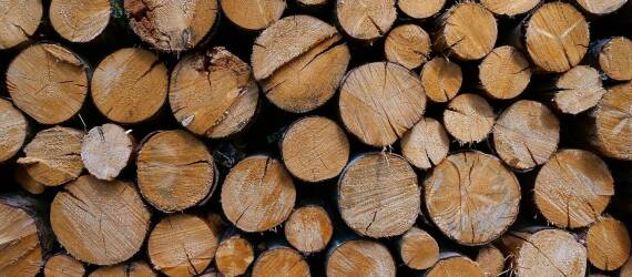 Jak drewno opałowe buk przyczynia się do zmniejszenia emisji CO2?