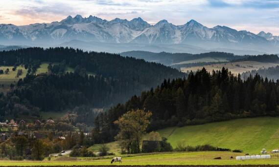 Wynajem apartamentów w Górach Karpacz: Spokój i relaks dla każdego