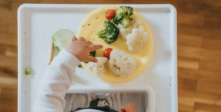 Efektywne planowanie cateringu dla przedszkoli przez catering