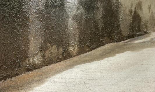 Jak rozpoznać pierwsze oznaki wilgoci wymagające osuszania budynku?