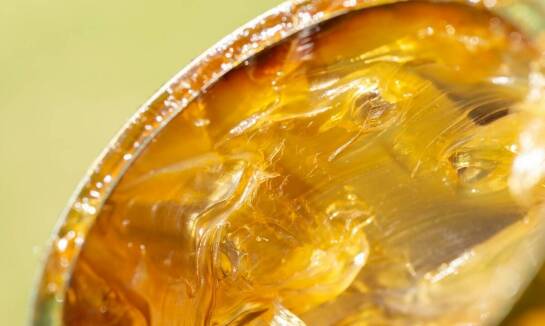 Naturalne witaminy i minerały dla koni – klucz do zdrowych kopyt