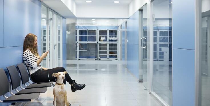 Nowoczesne urządzenia diagnostyczne: jak wpływają na skuteczność leczenia zwierząt?