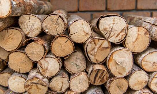 Drewno kominkowe buk: kluczowe czynniki wpływające na jego jakość