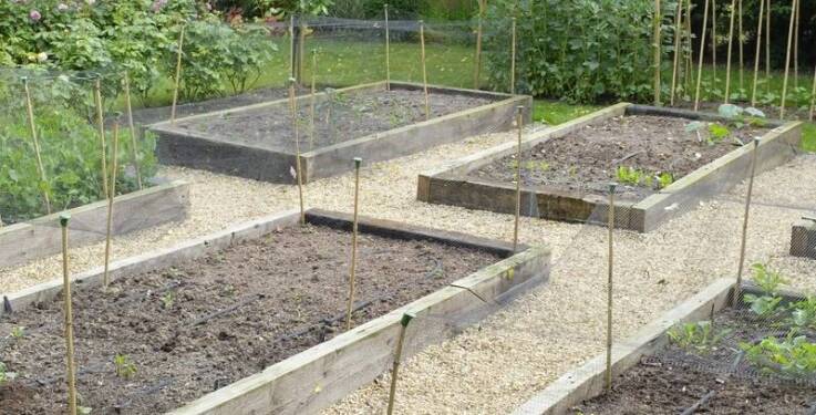 Jak dobrać drzewa liściaste do aranżacji ogrodu w stylu wiejskim?