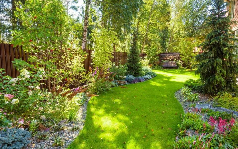 Jakie drzewa liściaste są idealne do małych ogrodów?