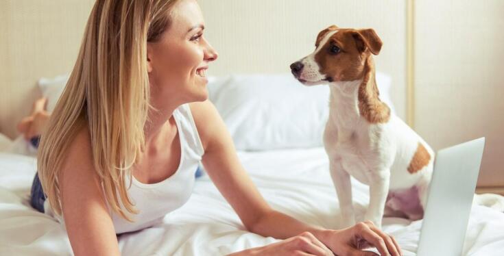 Jakie są zalety zajęć online dla psów w kontekście szkolenia?