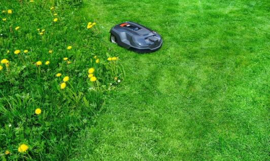 Bezpieczeństwo i niezawodność robotów koszących w codziennym użytkowaniu