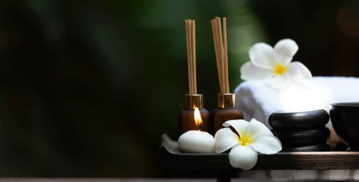 Wprowadzenie do japońskiego Head Spa – oferta szkoleń fryzjerskich