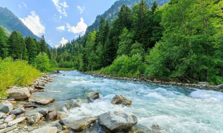 Jakie są najczęstsze wyzwania podczas spływów kajakowych i jak im sprostać?