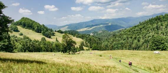 Wyjazdy grupowe z Siedlec: Jakie są najlepsze oferty dla miłośników przyrody?