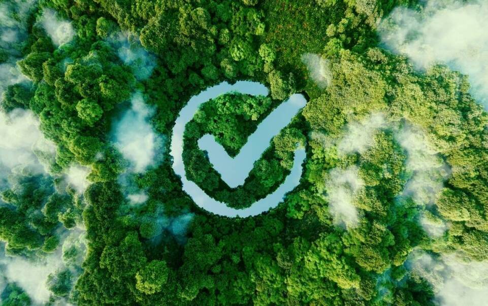 Jak deszczomierze wspierają efektywne zarządzanie zasobami leśnymi?