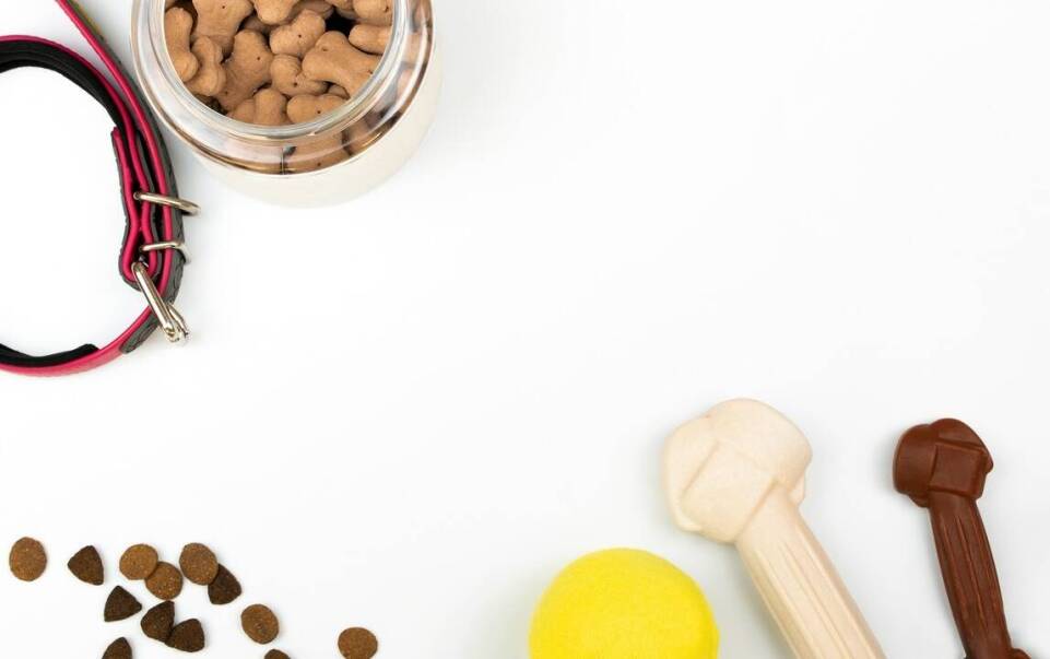 Wpływ naturalnych składników przysmaków na zdrowie psa